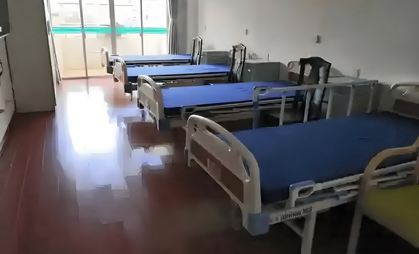 深圳入户办理地点_陈梦与演员任嘉伦一起打乒乓球，两人系发小+队友 队友联例项典型案产业