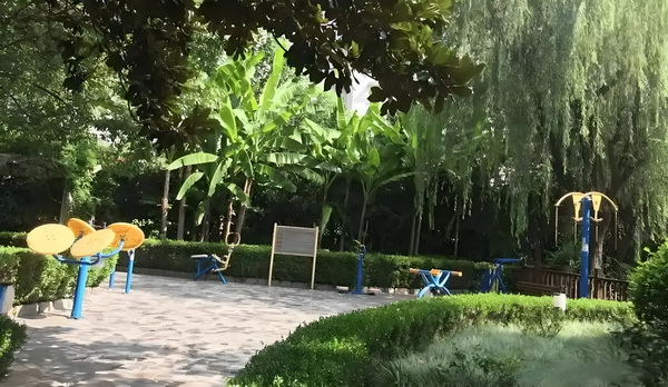 信息处理技术员深圳入户加分_《南京照相馆》北京首映百万观众见证口碑力作“历史不应被遗忘 对于有特老人求的殊需